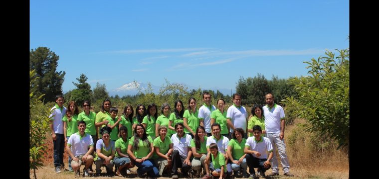 Fotos del curso de un mes enero 2016
